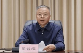 打虎！岳普煜被查