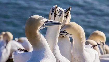 李宗盛把最烂的一首歌，误打误撞交给助理唱，竟把他捧成一代天王