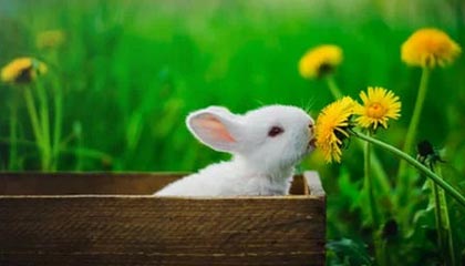 霜降已到，全国红叶上线中！这些“出片宝地”藏不住了